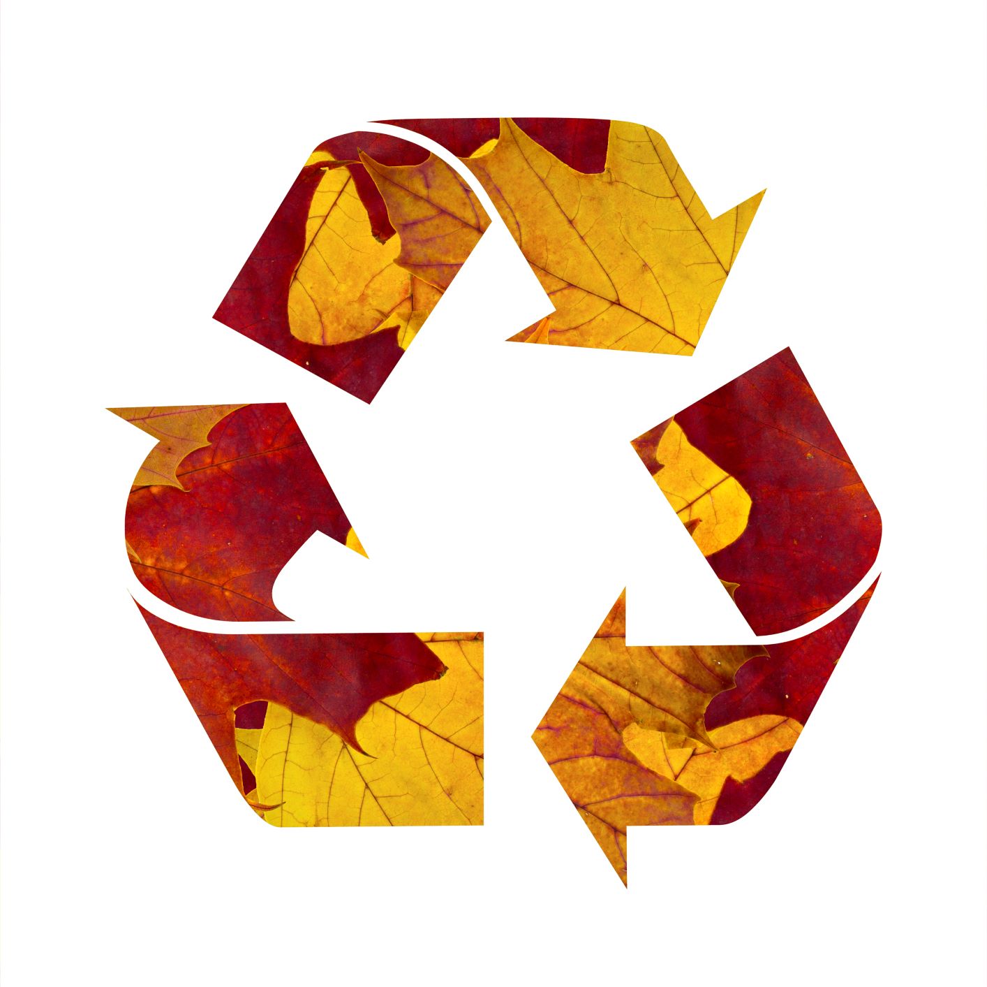 Recycling_Herbst_klein