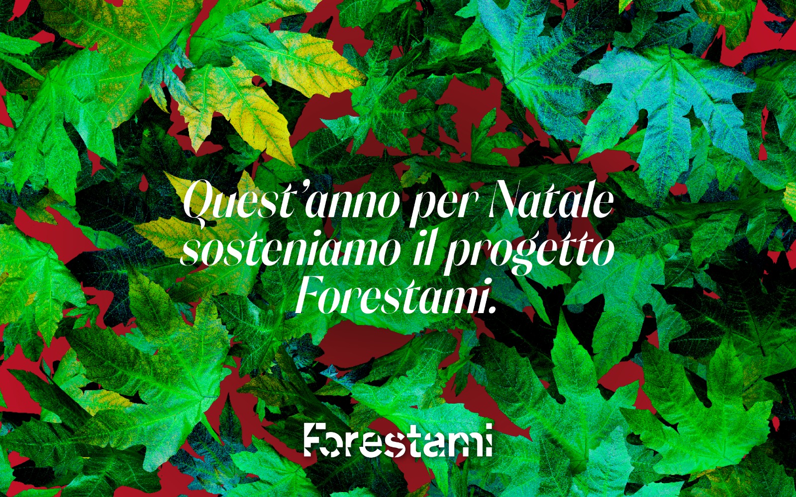 Forestami